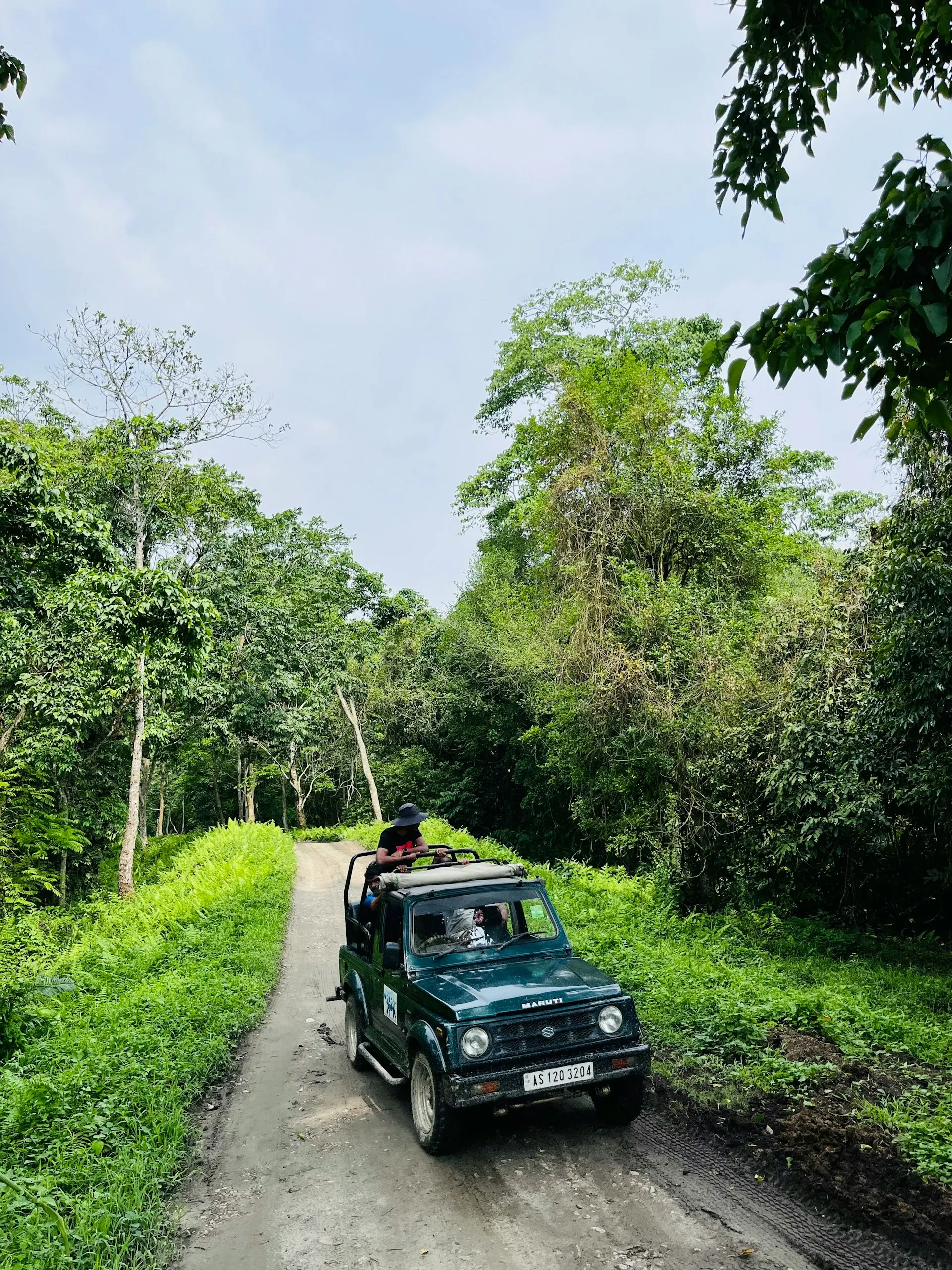 Kaziranga