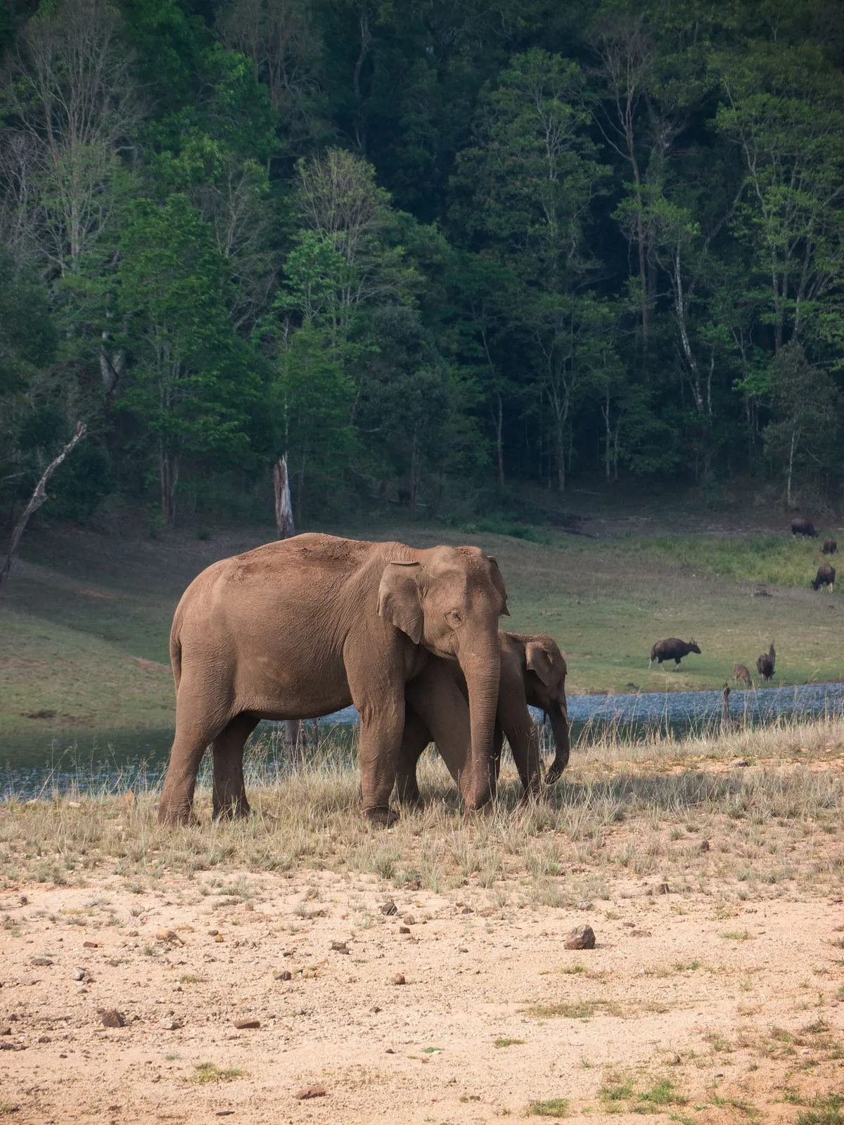 Periyar