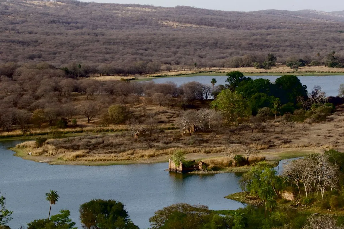 Ranthambore