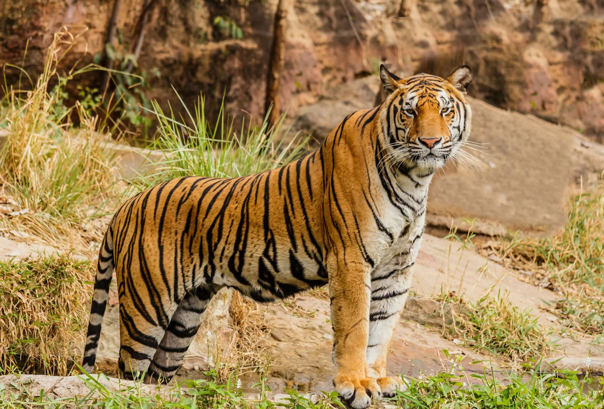 Satpura