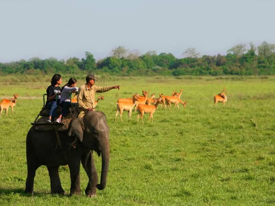 Tadoba