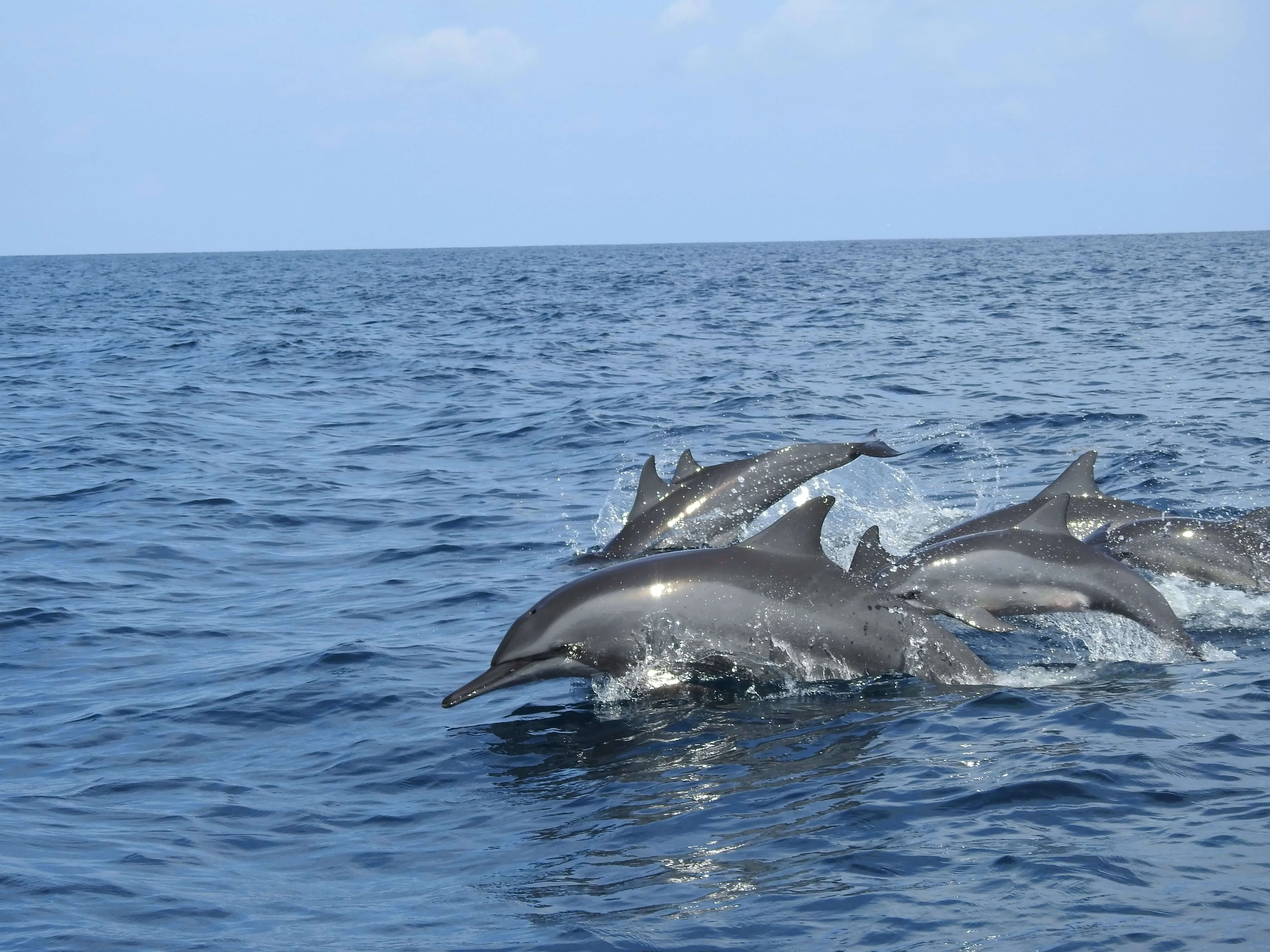 maldives